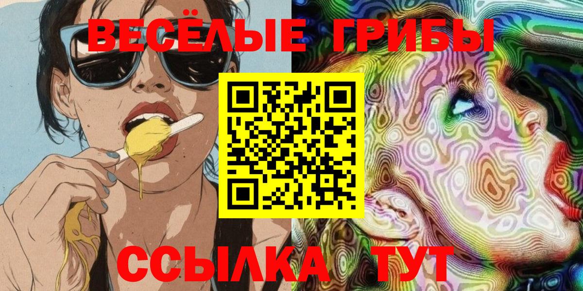 Галлюциногенные грибы Psilocybe  Галлюциногенные грибы Magic Shrooms  Новочеркасск  как найти закладки  Вход с VPN 