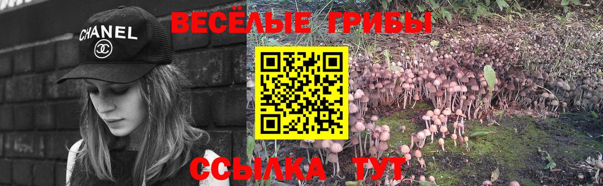 Галлюциногенные грибы MAGIC MUSHROOMS Новочеркасск